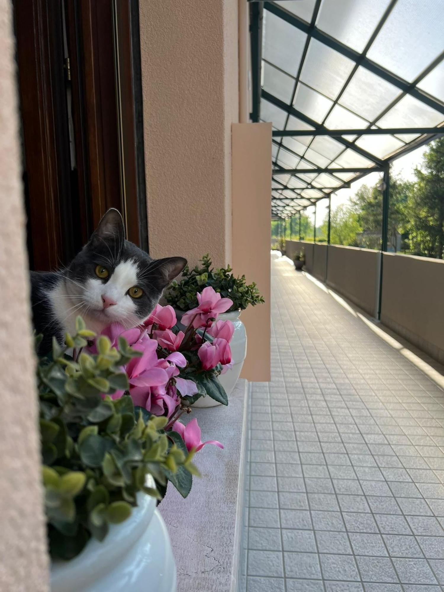 Appartamento Sangiuliano เมสเตร ภายนอก รูปภาพ